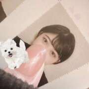 ヒメ日記 2025/02/22 21:21 投稿 心菜（ここな） あなたの妻