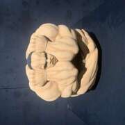 ヒメ日記 2025/06/20 14:49 投稿 心菜（ここな） あなたの妻