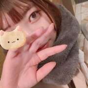 ヒメ日記 2025/11/27 16:17 投稿 心菜（ここな） あなたの妻