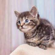 ヒメ日記 2026/02/22 11:37 投稿 馨子(かおるこ) 人妻城 横浜本店