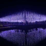 ヒメ日記 2024/12/30 19:02 投稿 ふぶき 所沢東村山ちゃんこ