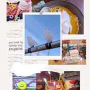 ヒメ日記 2024/12/28 17:50 投稿 みすず 脱がされたい人妻 越谷店