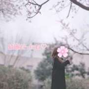 ヒメ日記 2025/03/23 10:42 投稿 みすず 脱がされたい人妻 越谷店