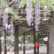 ヒメ日記 2025/05/12 10:01 投稿 みすず 脱がされたい人妻 越谷店