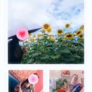 ヒメ日記 2025/08/22 09:38 投稿 みすず 脱がされたい人妻 越谷店