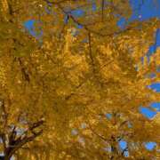 ヒメ日記 2026/03/15 11:32 投稿 みすず 脱がされたい人妻 越谷店