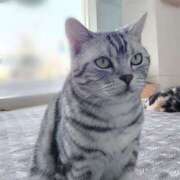 ヒメ日記 2024/12/25 18:10 投稿 かほ 脱がされたい人妻 越谷店