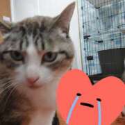 ヒメ日記 2025/06/21 10:04 投稿 かほ 脱がされたい人妻 越谷店