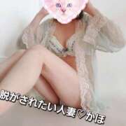 ヒメ日記 2026/03/05 10:25 投稿 かほ 脱がされたい人妻 越谷店