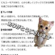 ヒメ日記 2026/09/02 00:12 投稿 かほ 脱がされたい人妻 越谷店