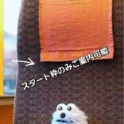 ヒメ日記 2026/09/09 11:05 投稿 かほ 脱がされたい人妻 越谷店