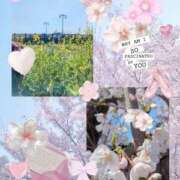 ヒメ日記 2025/04/28 09:37 投稿 みすず 脱がされたい人妻 春日部店