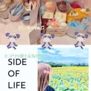 ヒメ日記 2025/08/12 09:56 投稿 みすず 脱がされたい人妻 春日部店