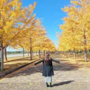 ヒメ日記 2025/11/26 08:07 投稿 みすず 脱がされたい人妻 春日部店