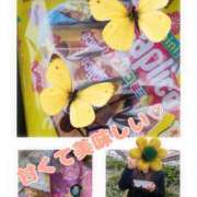 ヒメ日記 2026/02/14 09:55 投稿 みすず 脱がされたい人妻 春日部店