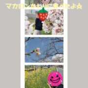 ヒメ日記 2026/04/06 09:36 投稿 みすず 脱がされたい人妻 春日部店