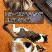 ヒメ日記 2026/01/26 13:25 投稿 かほ 脱がされたい人妻 春日部店