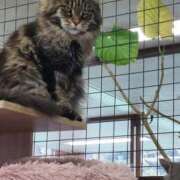 ヒメ日記 2026/04/08 17:38 投稿 かほ 脱がされたい人妻 春日部店