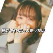 ヒメ日記 2026/05/04 12:33 投稿 かほ 脱がされたい人妻 春日部店