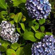 ヒメ日記 2025/07/10 10:51 投稿 まいか 舐めフェチの会