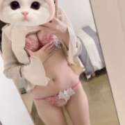 ヒメ日記 2025/12/07 18:49 投稿 かえで【乃木坂佐〇楓激似】 STELLA TOKYO－ステラトウキョウ－