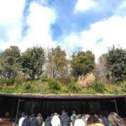 ヒメ日記 2025/02/14 01:08 投稿 あやの【温厚で癒し系美女♡】 LIPS(リップス)