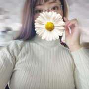 ヒメ日記 2025/03/20 07:57 投稿 あやの【温厚で癒し系美女♡】 LIPS(リップス)