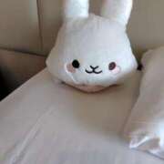 ヒメ日記 2025/05/19 10:04 投稿 あやの【温厚で癒し系美女♡】 LIPS(リップス)