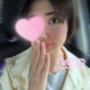 ヒメ日記 2026/04/25 08:20 投稿 あやの【温厚で癒し系美女♡】 LIPS(リップス)