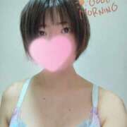 ヒメ日記 2026/05/24 11:38 投稿 あやの【温厚で癒し系美女♡】 LIPS(リップス)