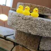 ヒメ日記 2025/07/19 16:19 投稿 さりな G-SCANDAL