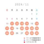 ヒメ日記 2024/11/14 12:00 投稿 こはる☆ 粋美　suibi