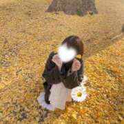 ヒメ日記 2024/12/27 12:00 投稿 こはる☆ 粋美　suibi