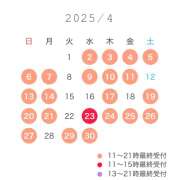 ヒメ日記 2025/04/04 14:39 投稿 こはる☆ 粋美　suibi