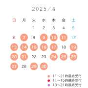 ヒメ日記 2025/04/08 22:12 投稿 こはる☆ 粋美　suibi