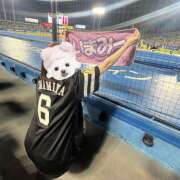 ヒメ日記 2025/06/06 22:00 投稿 こはる☆ 粋美　suibi