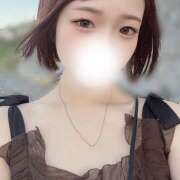 ヒメ日記 2025/07/30 09:00 投稿 こはる☆ 粋美　suibi