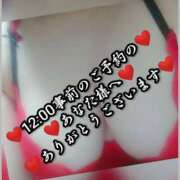 ヒメ日記 2025/08/24 19:37 投稿 大和 熟女デリヘル倶楽部