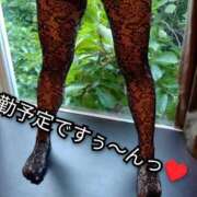 ヒメ日記 2026/08/19 08:00 投稿 大和 熟女デリヘル倶楽部