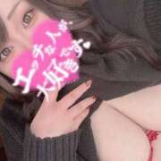 ヒメ日記 2024/12/29 19:30 投稿 れい 夢の国デリランド