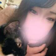 ヒメ日記 2025/12/05 23:15 投稿 れい 夢の国デリランド