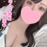 ヒメ日記 2025/12/07 18:15 投稿 れい 夢の国デリランド