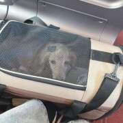 ヒメ日記 2025/12/31 15:15 投稿 れい 夢の国デリランド