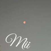 ヒメ日記 2025/09/08 17:42 投稿 みぃ Evolution 2nd