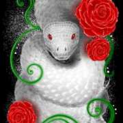 ヒメ日記 2025/01/02 21:02 投稿 Rena【レナ】 Evolution 2nd