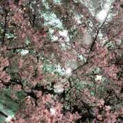 ヒメ日記 2026/04/03 19:52 投稿 Rena【レナ】 Evolution 2nd