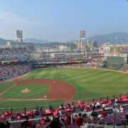 ヒメ日記 2025/07/22 17:22 投稿 ココ Evolution 2nd