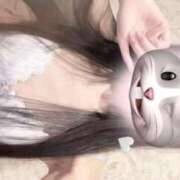 ヒメ日記 2025/08/21 16:47 投稿 ココ Evolution 2nd