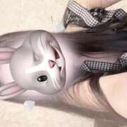 ヒメ日記 2025/09/07 12:23 投稿 ココ Evolution 2nd