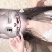 ヒメ日記 2025/09/11 12:06 投稿 ココ Evolution 2nd
